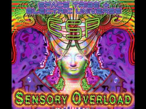 Space Tribe — SPACE TRIBE & ELECTRIC UNIVERSE ~ ESP - Pozitronic Brain
