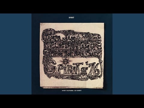 Spirit (8) — Victim Of Society