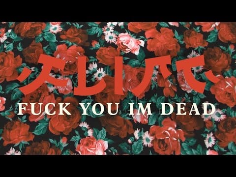 ¡FLIST! — ¡FLIST! - Fuck You Im Dead (Teaser)