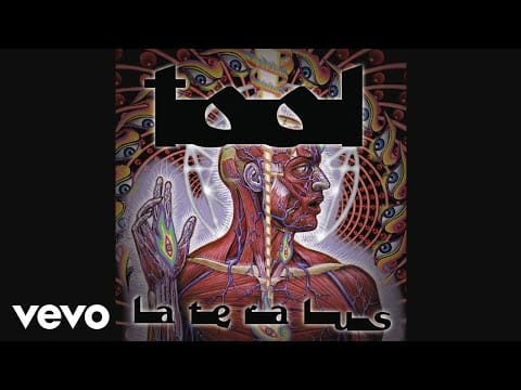 Tool (2) — TOOL - Ticks & Leeches (Audio)