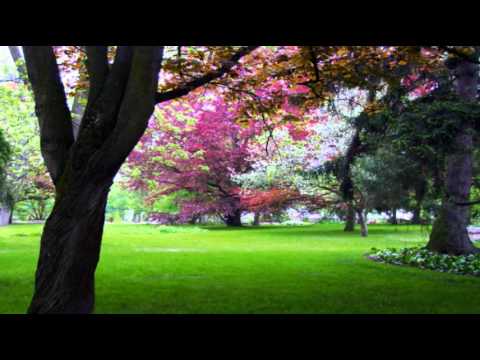 Mantovani — MANTOVANI - GREENSLEEVES