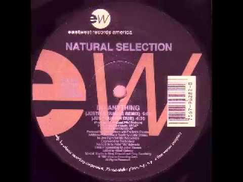 Natural Selection — Natural Selection - Do anything (Justin Strauss remix)