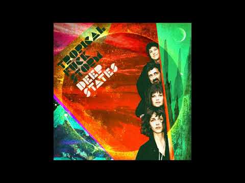 Tropical Fuck Storm — Tropical Fuck Storm - The Confinement Of The Quarks (Official Audio)