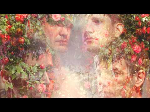 Starfucker (2) — Starfucker // STRFKR - Nite Rite
