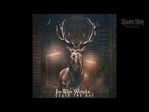 In The Woods... — In the Woods... - Empty Streets (New Track)