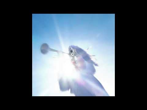 Geese (11) — Geese - Half Real (Official Audio)