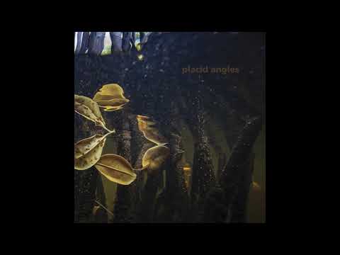 Placid Angles — Placid Angles - Touch The Earth [FIGURELP07] (Full Album)