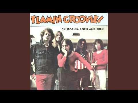 The Flamin' Groovies — Comin' After Me (Demo)