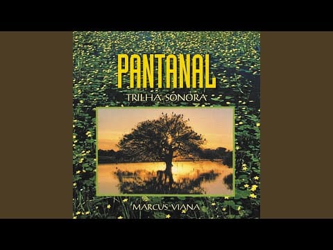 Marcus Viana — Onça Pintada