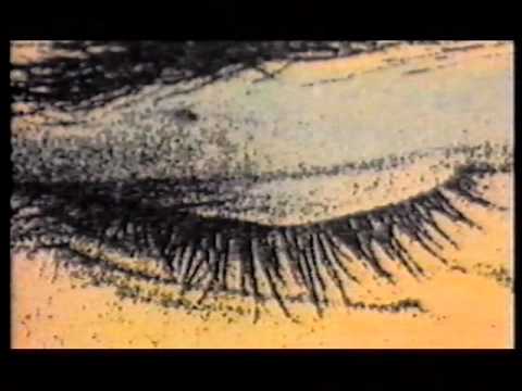 Mr. Roy — Mr. Roy - Something About U (Can't Be Beat)