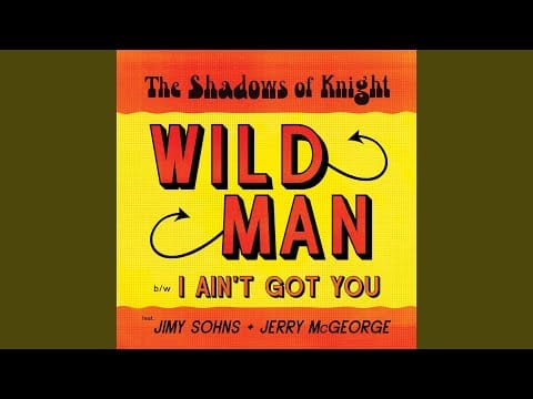 The Shadows Of Knight — I Ain't Got You
