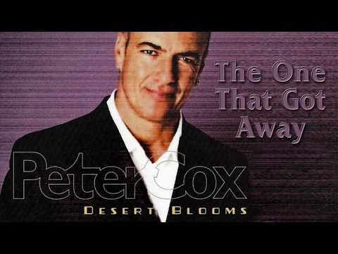 Peter Cox — Peter Cox - The One That Got Away
