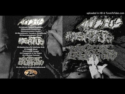 Meatus (2) — Nucleus / Meatus / Necrotic Eruption - 3 Way Split ‎(CDr, Album, Ltd) ( GOREGRIND gORENOISE )
