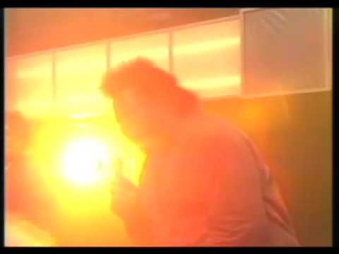 Darryl Pandy — Darryl Pandy - Animal Magnetism
