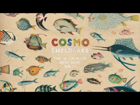 Cosmo Sheldrake — Cosmo Sheldrake - Egg and Soldiers