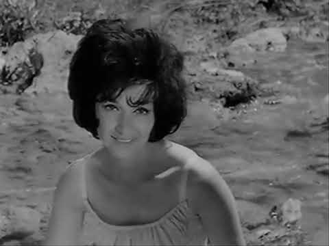 Patricia Carli — patricia carli - le roseau et la riviere  -1963
