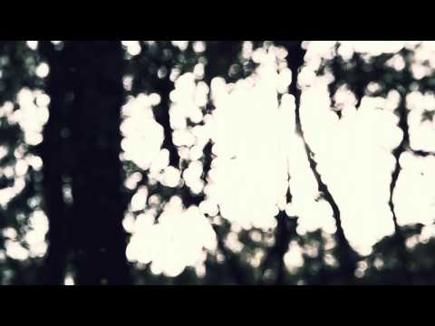 Reimut van Bonn — Van Bonn - Onwards I (Telrae 14)