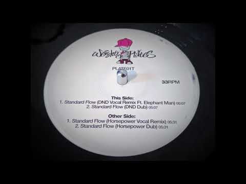 Blazin' Squad — Blazin' Squad - Standard Flow (DND Dub) (2002)