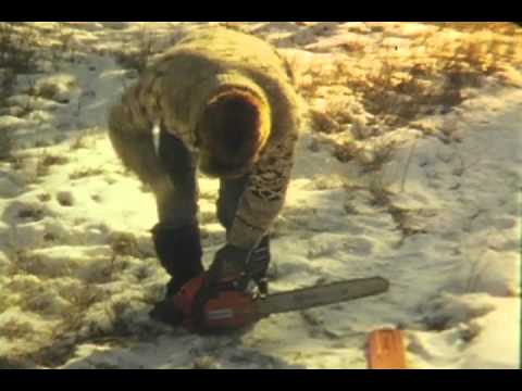 Crooked Brothers — The Crooked Brothers - Bluebirds Music Video - Lawrence, Where's Your Knife (2011)