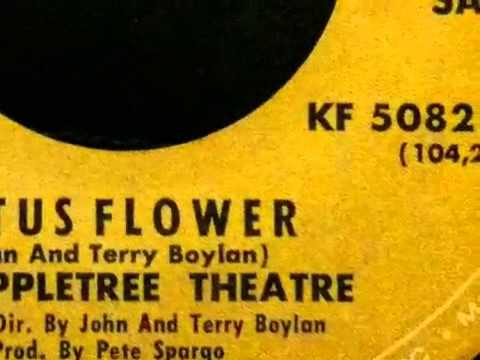 The Appletree Theatre — The Appletree Theatre - Lotus Flower