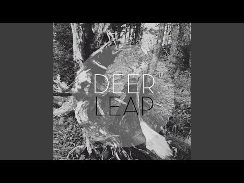 Deer Leap — Home