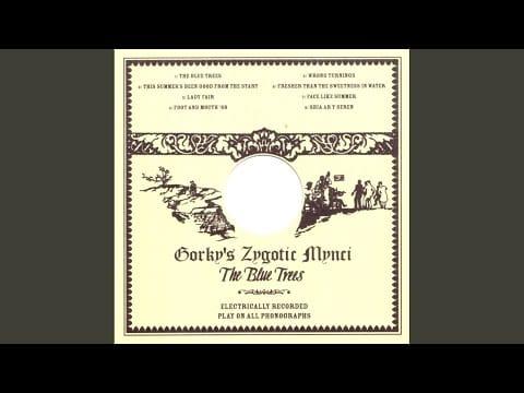 Gorky's Zygotic Mynci — Foot and Mouth '68