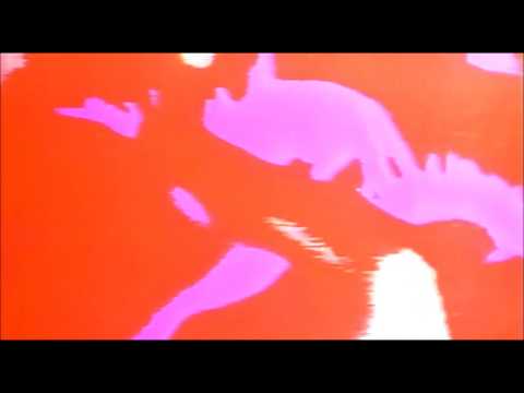 The Saints (2) — THE SAINTS always, always (1981)