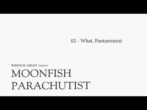 Windsor Airlift — Windsor Airlift | 02 What, Pantamimist?