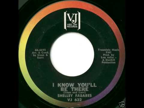 Shelley Fabares — SHELLEY FABARES-LOST SUMMER LOVE