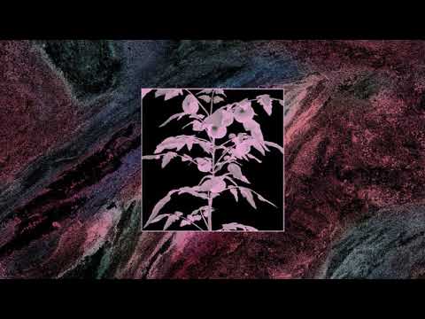 Tomates en Verano — Tomates En Verano - "Todos Los Días Son Felices" (2020) [FULL ALBUM]