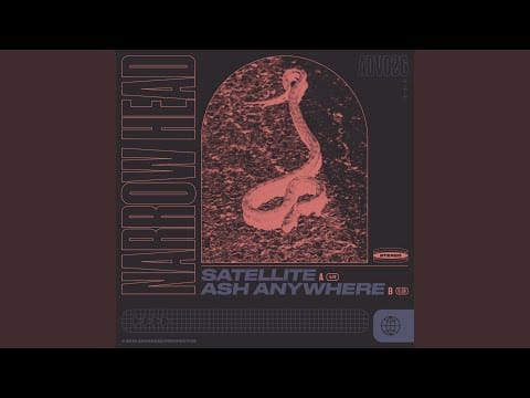 Narrow Head — Ash Anywhere