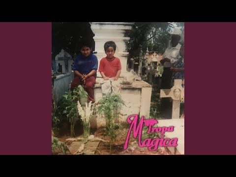 Tropa Magica — Feels Like Tijuana (English Version)