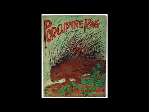 Prince's Orchestra — Prince's Orchestra (as Regal Military Band) - Porcupine Rag (Johnson) (1910)
