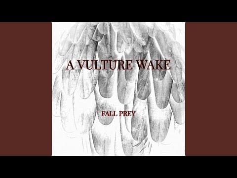 A Vulture Wake — Collateral Damage