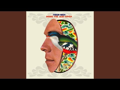 Tiger High — Still the Heart (Beats On & On)
