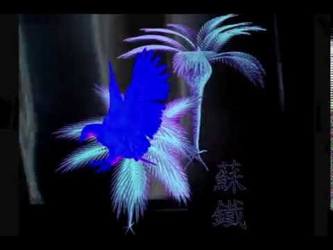Acid Fountain — "Forest-music" by Acid Fountain