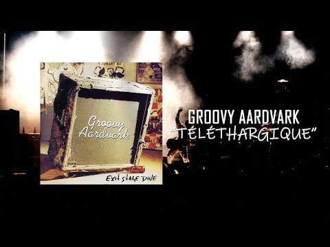 Groovy Aardvark — Groovy Aardvark - Téléthargique ( EXIT STAGE DIVE )
