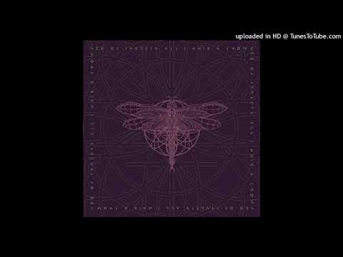 Sex Of Insects — Sex Of Insects - All I Have A Know (Banco de Gaia Remix)