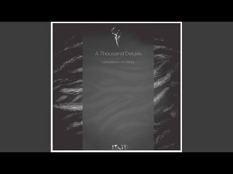 A Thousand Details — Conundrum Of Life 01 (Original Mix)