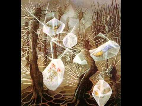 Staruha Mha — Staruha Mha - ...and Then the Trees Woke Up