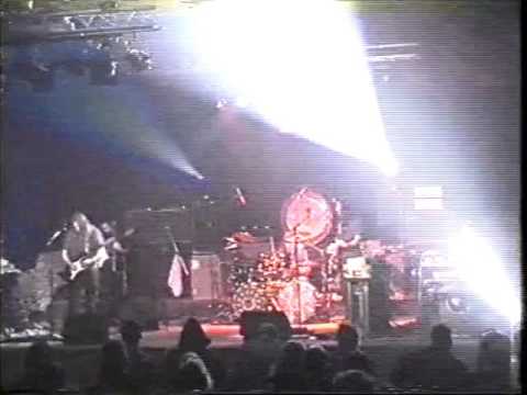 Pink Fraud — Pigs (Three Different Ones) - Pink Fraud