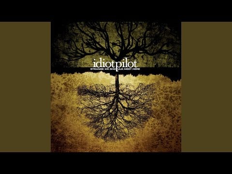 Idiot Pilot — Strange We Should Meet Here