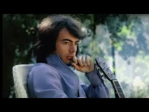 Neil Diamond — Neil Diamond - STONES