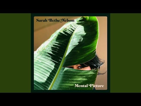 Sarah Bethe Nelson — Mental Picture