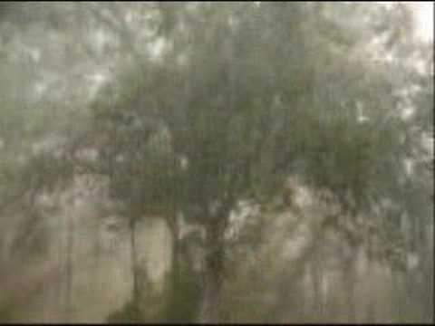 The Critters — The Critters-Don't Let The Rain Fall Down On Me