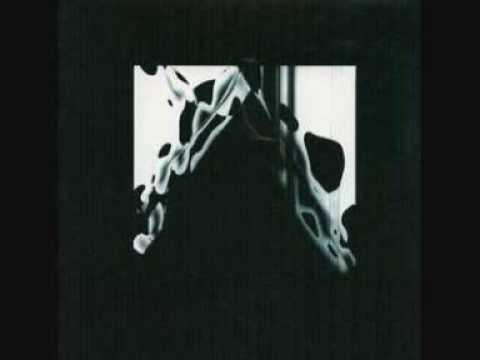 Pantha du Prince — Pantha Du Prince - Schneeflieder