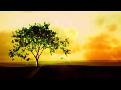 Tulku — Travellers From A Strange Land ڰۣڿڰۣ ♥ ڰۣڿڰۣ TULKU