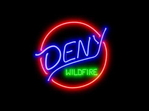Deny — Deny - Wildfire LP [2023 Crust Punk]