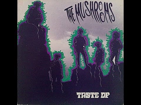 The Mushrooms (3) — THE MUSHROOMS - Taste Of (Full Vinyl)