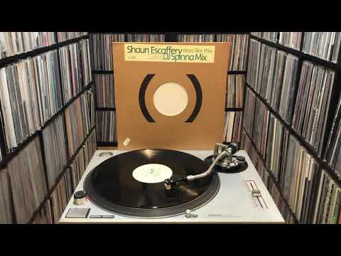 Shaun Escoffery — Shaun Escoffery ‎"Days Like This" DJ Spinna Remixes Full 12"